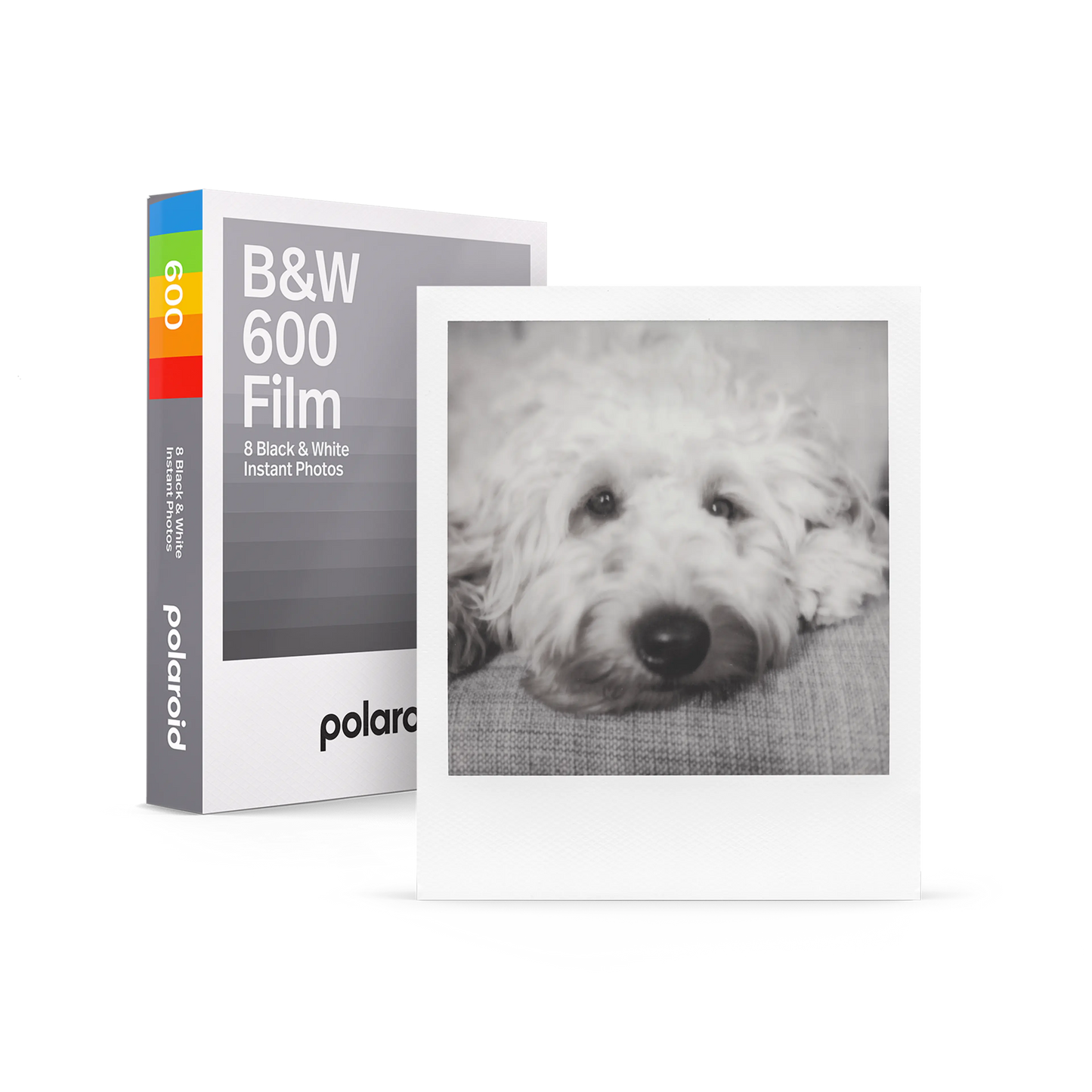 B&W 600 Film (8枚入り)