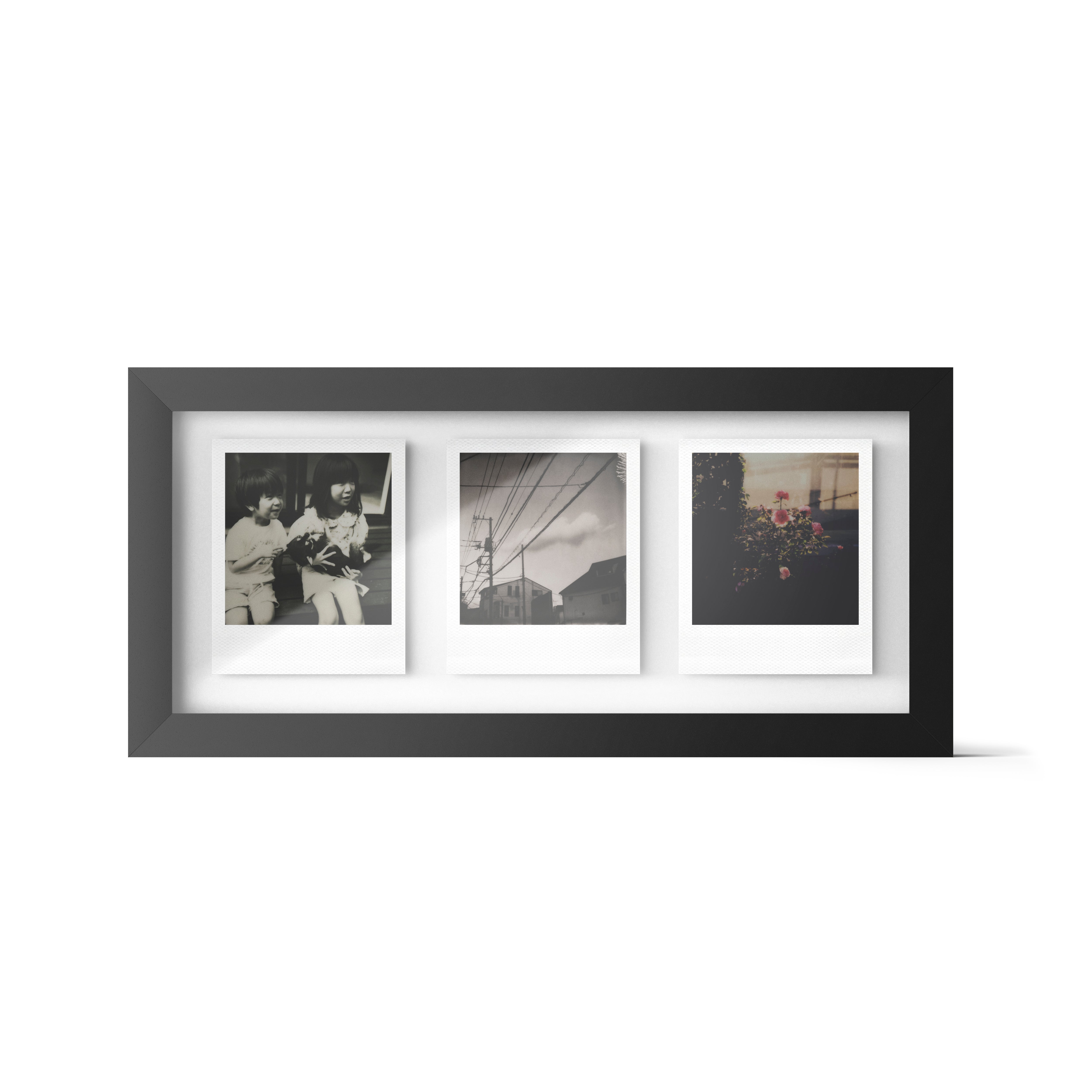 Color 8x10 Film | ポラロイドフィルム – VISTAL VISION / Polaroid