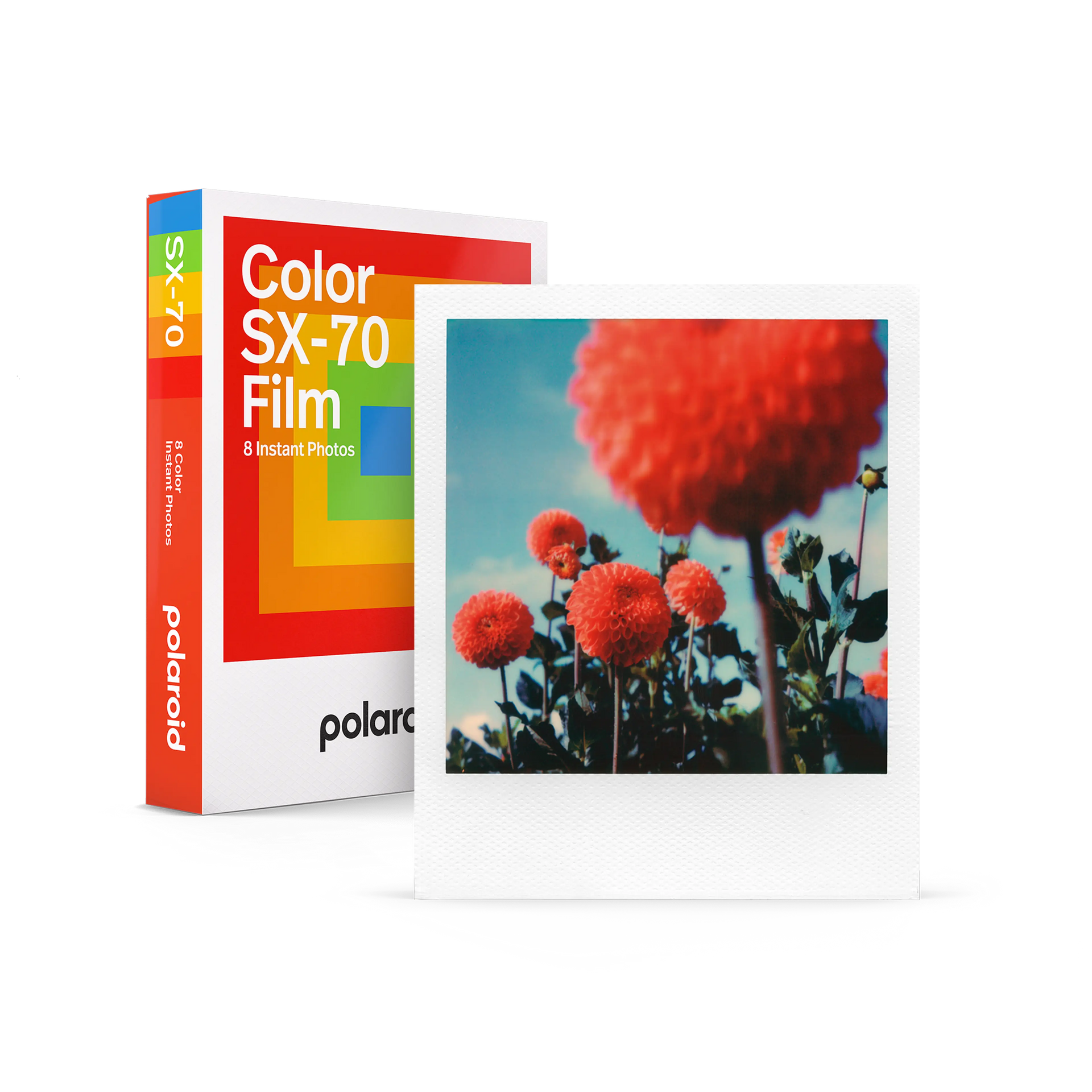 Color SX-70 Film | ポラロイドフィルム – VISTAL VISION Color SX-70 Film | ポラロイドフィルム – VISTAL VISION