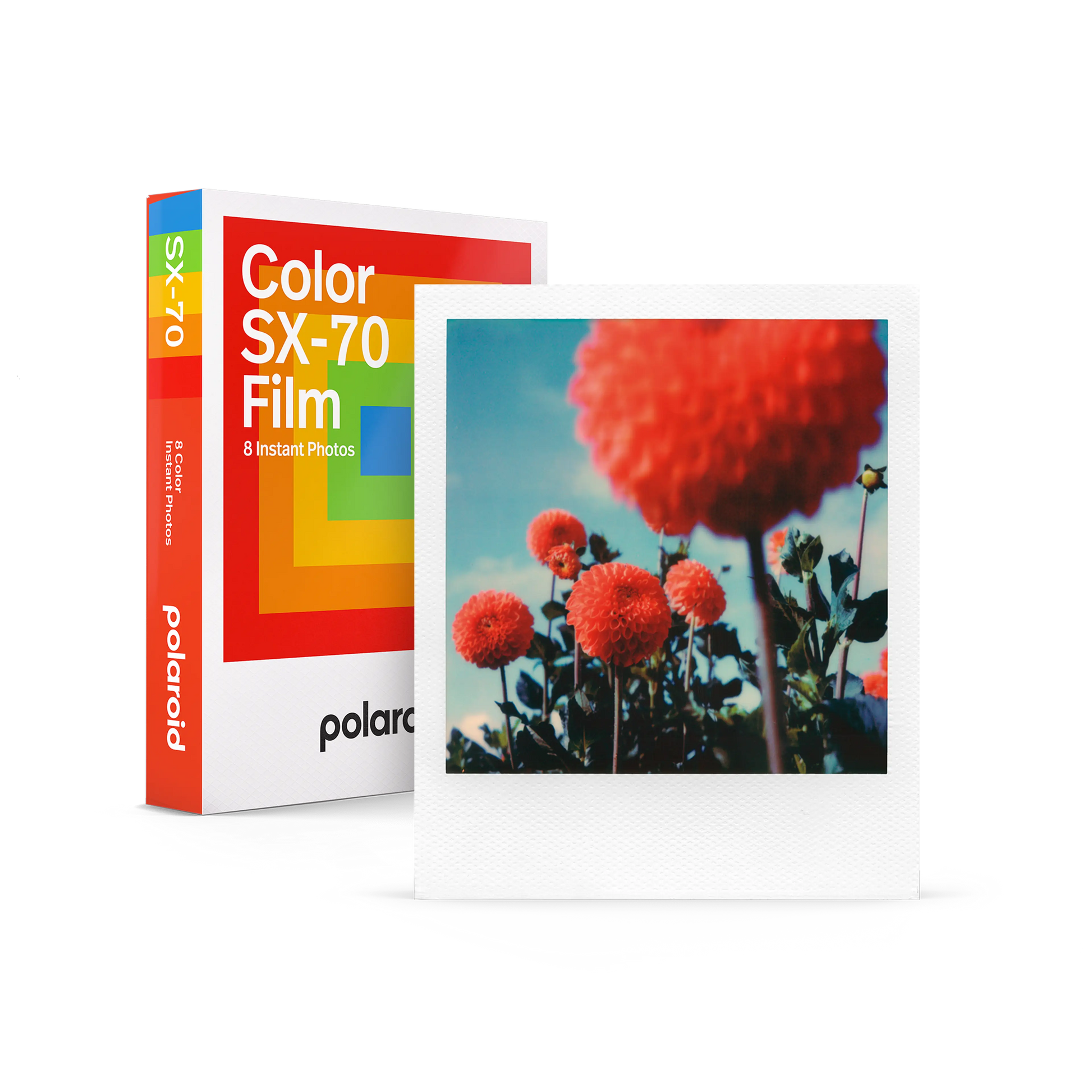 Color SX-70 Film | ポラロイドフィルム – VISTAL VISION / Polaroid Color SX-70 Film | ポラロイドフィルム – VISTAL VISION / Polaroid