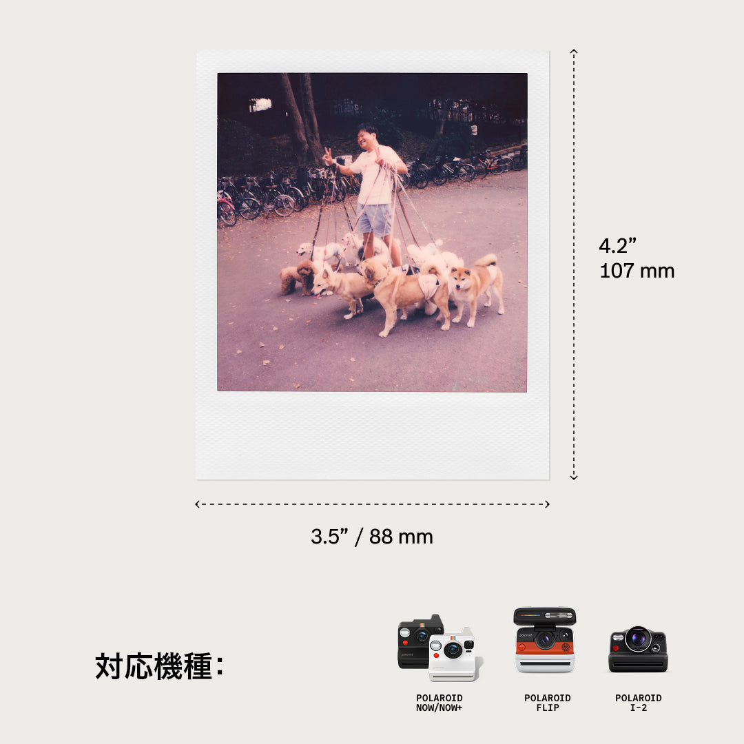 to1 RE:ALIZE realize チフン ポラロイド 予約】Polaroid Color i-Type Film ポケモンエディション (8枚入り
