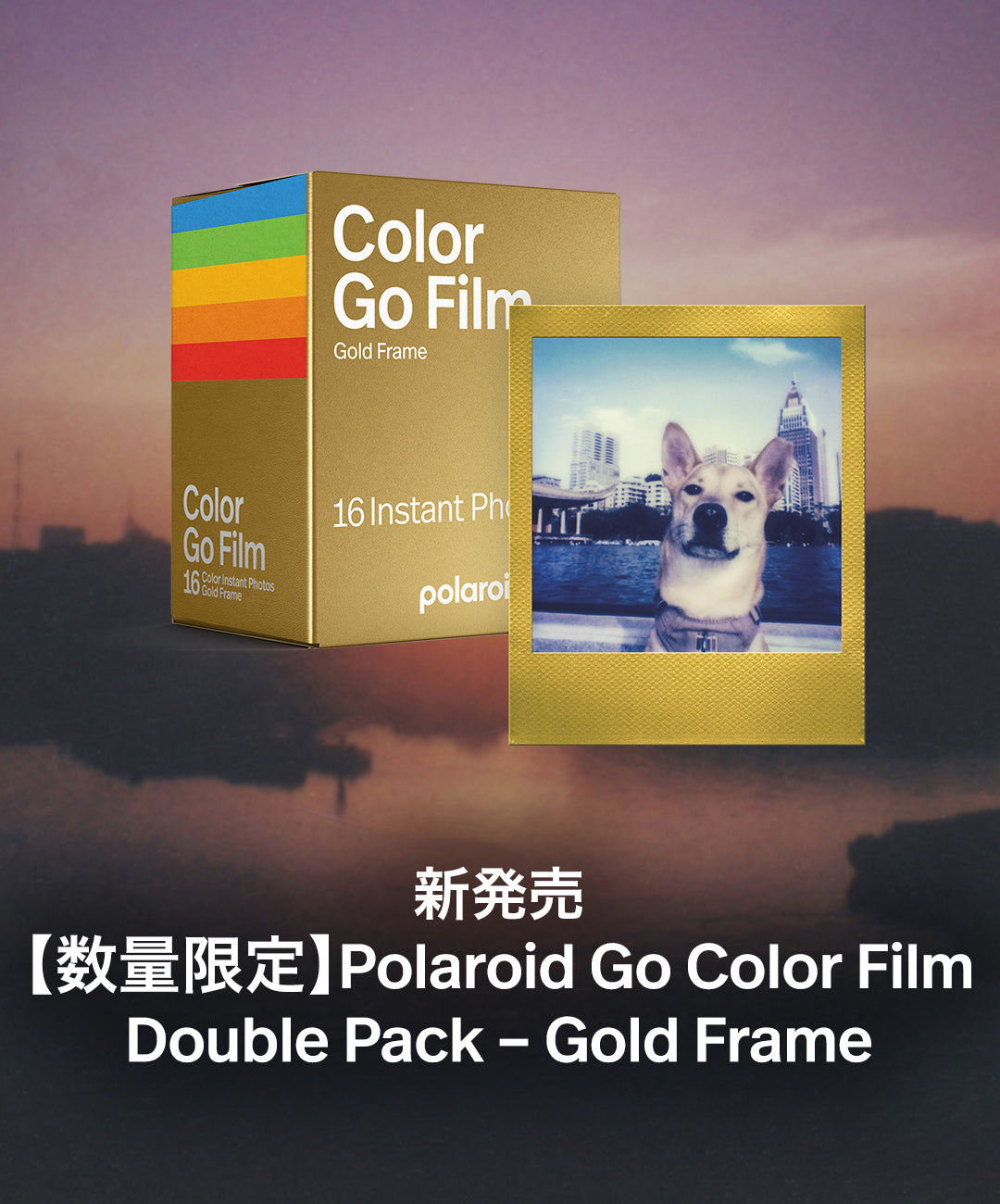 Polaroid 公式ショップ – VISTAL VISION / Polaroid 公式ショップ